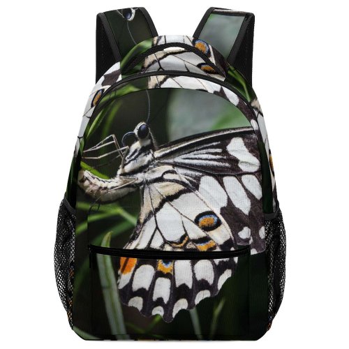 yanfind Children's Backpack Butterfly Insect Australia Invertebrate Kuranda Sanctuary Egg Laying Egg Laying David Clode Sactuary Preschool Nursery Travel Bag