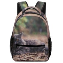 yanfind Children's Backpack Cat Pet Atlanta United States Grey Woodland Forest Leaves Leaf Portrait Autumn Preschool Nursery Travel Bag