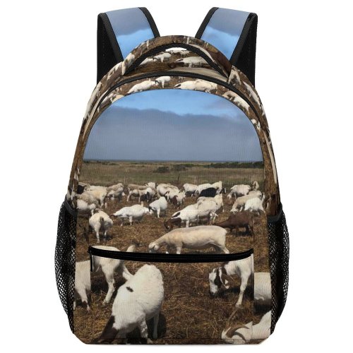 yanfind Children's Backpack Field Grassland Outdoors Countryside Farm Rural Grazing Meadow Pasture Ranch Cattle Cow Preschool Nursery Travel Bag