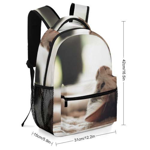 yanfind Children's Backpack  Rough Sleep Dog Cat Little Daylight Beach Sleepy Wildlife Portrait Fur Preschool Nursery Travel Bag