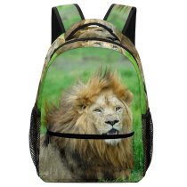yanfind Children's Backpack  Focus Mane Wild Cat Depth Grass Field  Wildlife Hunter Big Preschool Nursery Travel Bag