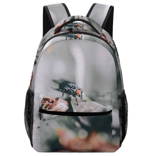 yanfind Children's Backpack Bee Honey Insect Invertebrate Beak Birds  Agelaius Blackbird Finger Grey Gecko Preschool Nursery Travel Bag