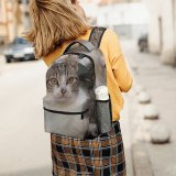 yanfind Children's Backpack Young Pet Kitten Portrait Tabby Curiosity Cute Little Staring Sit Cat Preschool Nursery Travel Bag