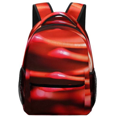 yanfind Children's Backpack Flower Texture Plant Macro Peperoncini Still Preschool Nursery Travel Bag