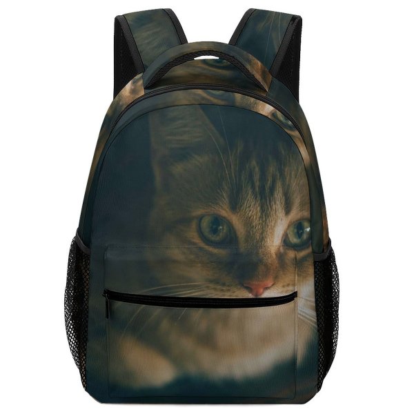 yanfind Children's Backpack Young Pet Kitten Portrait Cute Little Adorable Face Cat  Nose Fur Preschool Nursery Travel Bag