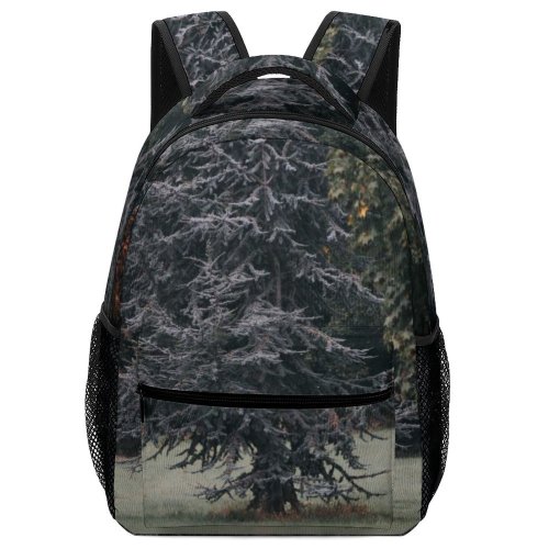 yanfind Children's Backpack Mysterious Abies Plant Spruce Beam Pictures Misty Outdoors Stock Grey Tree Preschool Nursery Travel Bag