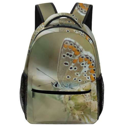 yanfind Children's Backpack Butterfly Insect Invertebrate Azuré Bleu Adonis Creative Commons Preschool Nursery Travel Bag