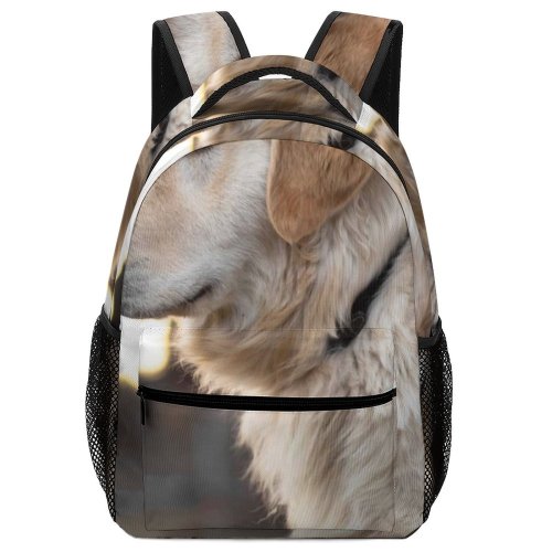 yanfind Children's Backpack Dog Pet Wallpapers Free Pictures Grey Goldenretriever Golden Images Preschool Nursery Travel Bag