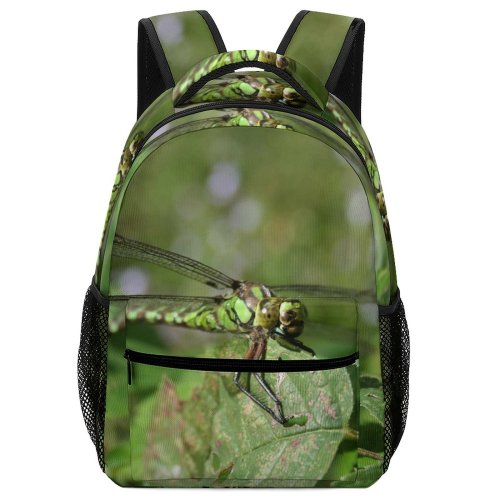 yanfind Children's Backpack Fly Insect Dragonflies Damseflies Net Winged Insects Damselfly Invertebrate Hawker Organism Preschool Nursery Travel Bag