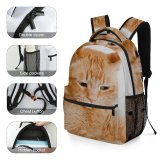 yanfind Children's Backpack Funny Curiosity Sit Cute Little Young  Portrait Kitten Pet Whisker Downy Preschool Nursery Travel Bag