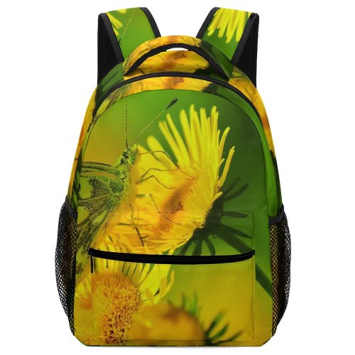 yanfind Children's Backpack Butterfly Insect Beijing China Floral Flower Creature Invertebrate Preschool Nursery Travel Bag
