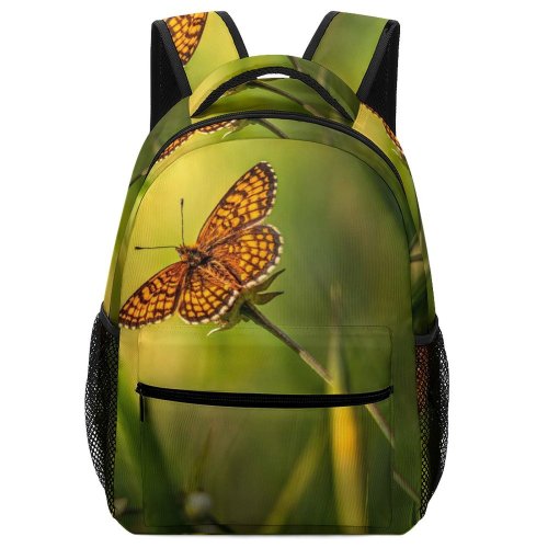 yanfind Children's Backpack Butterfly Insect Invertebrate Estonia Monarch Wing HQ Leaf Close Up Springtime Season Beauty Preschool Nursery Travel Bag