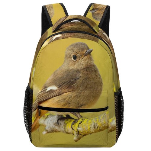 yanfind Children's Backpack Birds Twig Perch Beak Wing Branch Female Daurian Redstart Taiwan Wren Wildlife Preschool Nursery Travel Bag