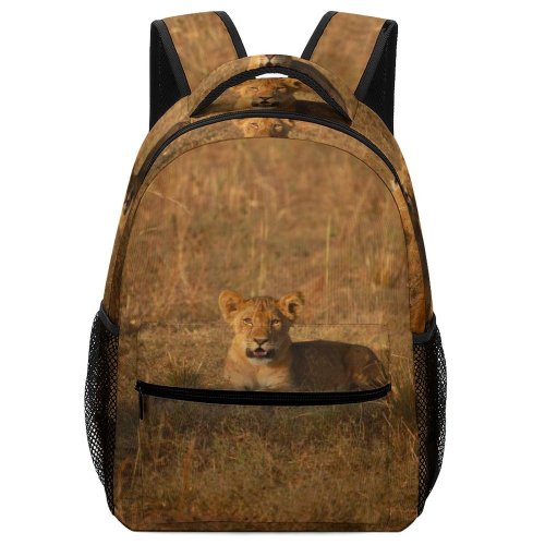yanfind Children's Backpack Grassland Outdoors Big Serengeti Kruger Cat Savanna Grass Lioness Lion Safari Preschool Nursery Travel Bag