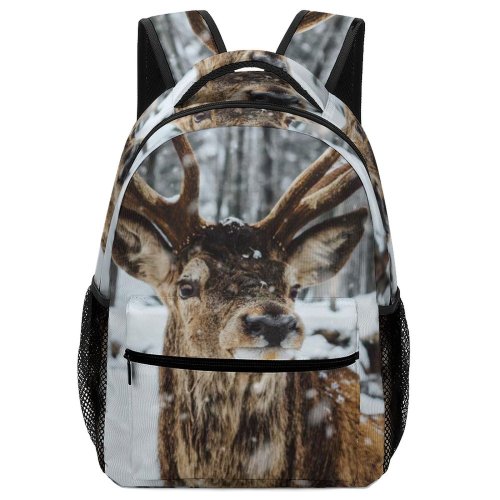 yanfind Children's Backpack Frozen Winter Season Freeze Landscape Frosty Snow Snowy Fur Outdoor Outdoors Frost Preschool Nursery Travel Bag