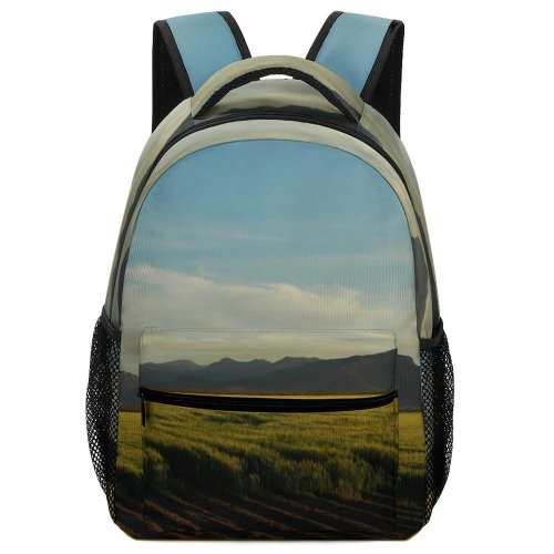 yanfind Children's Backpack Dry Countryside Relaxed Mexico Growing Sonora Highway Pictures Late Grassland Cloud Preschool Nursery Travel Bag