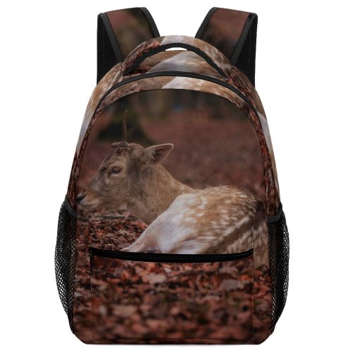 yanfind Children's Backpack Deer Dünnwald Kln Wildlife Leaves Sat Forest Wilderness Tree  Wildness Preschool Nursery Travel Bag