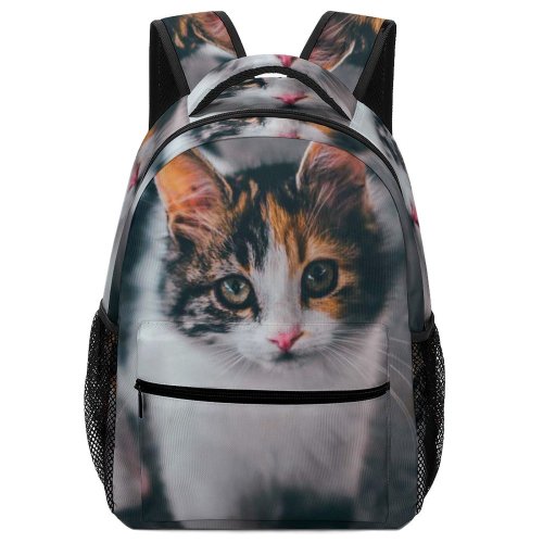 yanfind Children's Backpack Funny Curiosity Outdoors Cute Baby Young Little  Kitten Whisker Fur Portrait Preschool Nursery Travel Bag