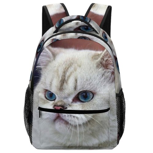 yanfind Children's Backpack Young Pet Kitten Portrait Curiosity Cute Little Adorable Staring Sit Cat Preschool Nursery Travel Bag