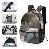 yanfind Children's Backpack Funny Curiosity Outdoors Focus Little Young  Pretty Staring Preschool Nursery Travel Bag