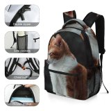 yanfind Children's Backpack Funny Curiosity Outdoors Cute Cat Little  Portrait Staring Pet Whisker Fur Preschool Nursery Travel Bag