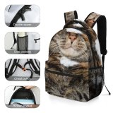 yanfind Children's Backpack  Focus Angry Cat Face Portrait Pet Tabby Fur Furious Outdoors Mad Preschool Nursery Travel Bag