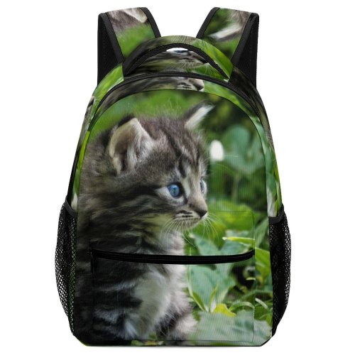 yanfind Children's Backpack Plant Blurred Daylight  Summertime Colorful Eyes Charming Kitty  Pet Greenery Preschool Nursery Travel Bag