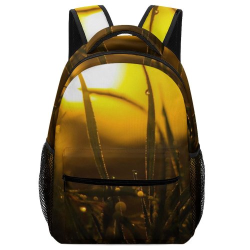 yanfind Children's Backpack Backlit  Dew Beautiful Sunset Grass Hayfield Field Light Drop  Sunrise Preschool Nursery Travel Bag