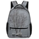 yanfind Children's Backpack Grey Outdoors Thunder Bay Snow Winter Canadá Birds  Storm Plant Tree Preschool Nursery Travel Bag