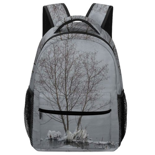 yanfind Children's Backpack Grey Outdoors Thunder Bay Snow Winter Canadá Birds  Storm Plant Tree Preschool Nursery Travel Bag