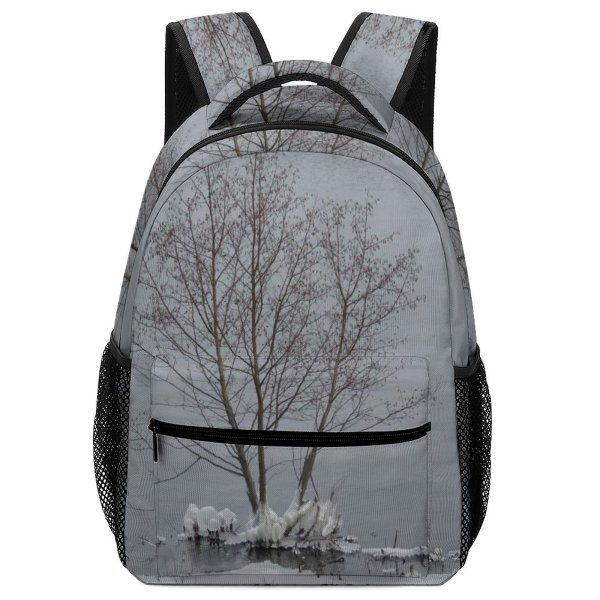 yanfind Children's Backpack Grey Outdoors Thunder Bay Snow Winter Canadá Birds  Storm Plant Tree Preschool Nursery Travel Bag