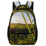 yanfind Children's Backpack Grass Field Grassland Outdoors Plant Sky Countryside Meadow  Light Vegetation Cloud Preschool Nursery Travel Bag