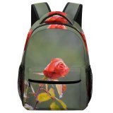 yanfind Children's Backpack Kissing Nepal  Rose Love Plant Nagarjun Valentine National Bud Preschool Nursery Travel Bag
