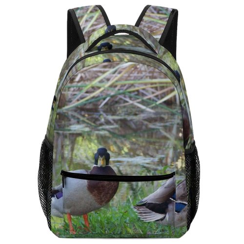 yanfind Children's Backpack Ducks Mallards Ponds Reeds Grass Grasses Bird Duck Vertebrate Mallard Geese Swans Preschool Nursery Travel Bag