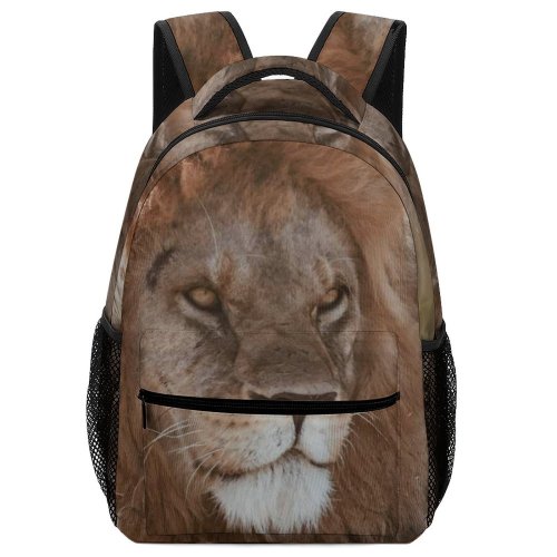 yanfind Children's Backpack Wildlife Pictures Africa HQ Lion Wallpapers Safari Free Images Preschool Nursery Travel Bag