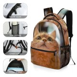yanfind Children's Backpack Young Studio Pet Funny Kitten Portrait Cute Little Face Pretty  Whisker Preschool Nursery Travel Bag
