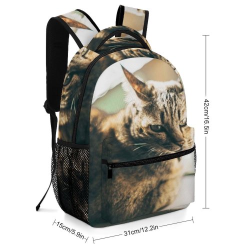 yanfind Children's Backpack Funny Curiosity Cute Sleep Cat Baby  Family Kitten Pet Whisker Fur Preschool Nursery Travel Bag