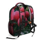 yanfind Children's Backpack Fruits Plant Vesely Ár Esko Macro  Leaves Tree Tasty August Autumn Preschool Nursery Travel Bag