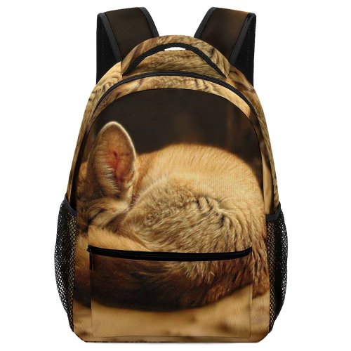 yanfind Children's Backpack Outdoors Cute Sepia Sleeping Cat Little Young Kitty Kitten Pet Fur Preschool Nursery Travel Bag