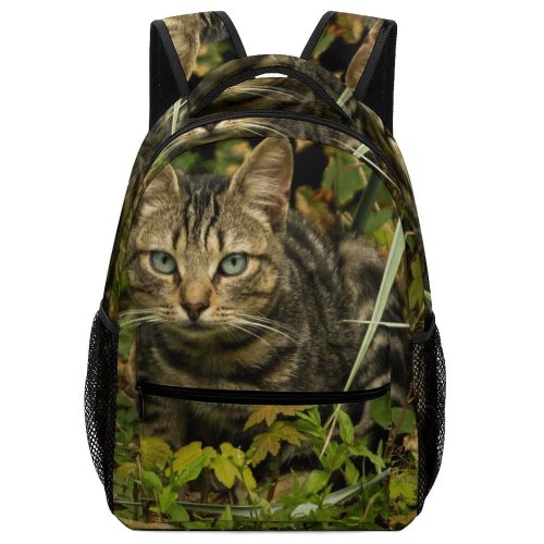 yanfind Children's Backpack Young Grass Pet Funny Kitten Portrait Cute Little Adorable Staring Cat Preschool Nursery Travel Bag