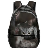 yanfind Children's Backpack Funny Winter Cute Little  Portrait Kitten Grey Pet Scared Dark Dof Preschool Nursery Travel Bag
