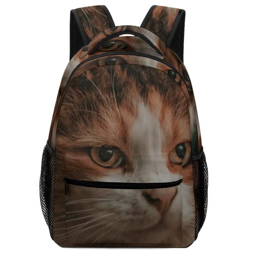yanfind Children's Backpack Young Pet Funny Kitten Portrait Tabby Curiosity Cute Little Staring Cat Eye_ Preschool Nursery Travel Bag