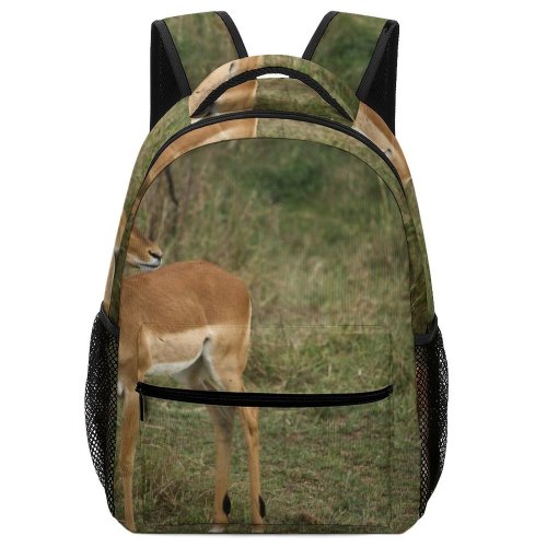 yanfind Children's Backpack Grassland Barbaric Outdoors Cute Impala Deer Portrait Antelope Grass Safari Gazelle Wild Preschool Nursery Travel Bag
