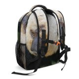 yanfind Children's Backpack Dog Wildlife Free Monkey Wild Wallpapers Faced Primate Baboon Images Pictures Preschool Nursery Travel Bag