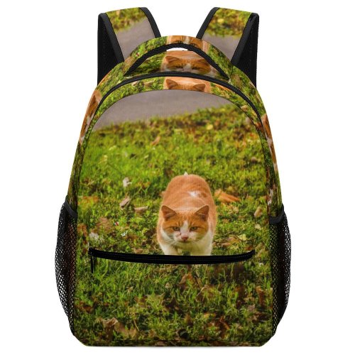 yanfind Children's Backpack Leaves Cute Cat Grass Preschool Nursery Travel Bag