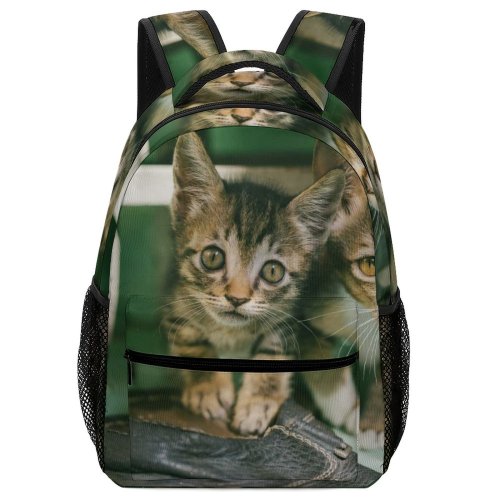 yanfind Children's Backpack Young Tabby Whiskers Curiosity Cute Little Adorable Kittens Furry Face Cat Fur Preschool Nursery Travel Bag