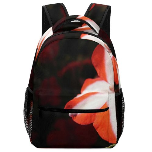 yanfind Children's Backpack  Flower Geranium Plant Petal Rose Creative Commons Preschool Nursery Travel Bag