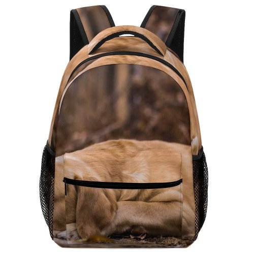 yanfind Children's Backpack Fall United Pet Fur Laying Pictures Stock Grey Free Englewood Dog Preschool Nursery Travel Bag