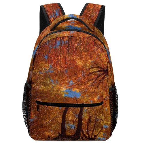 yanfind Children's Backpack Eastern Unsplash Tree Domain Plant Fire Leaf Public Trunk National Park Preschool Nursery Travel Bag