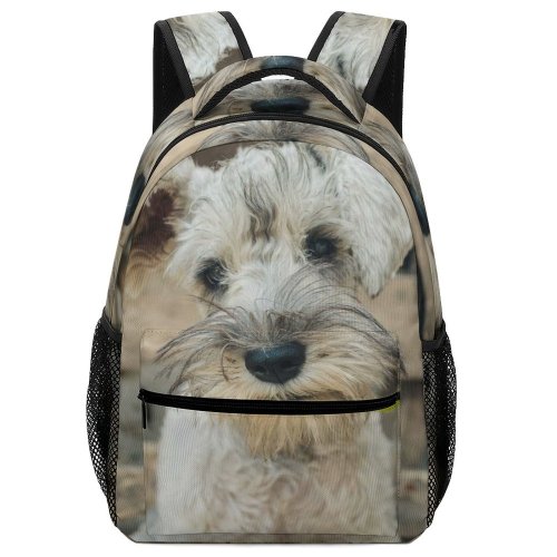 yanfind Children's Backpack Dog Argentina Free Purple Stock Wallpapers Images Pictures Pet Preschool Nursery Travel Bag